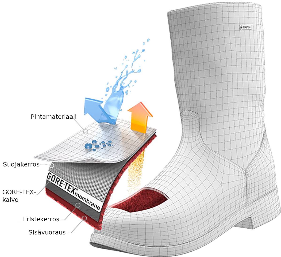 Meindl Sondrio GTX Brown 02