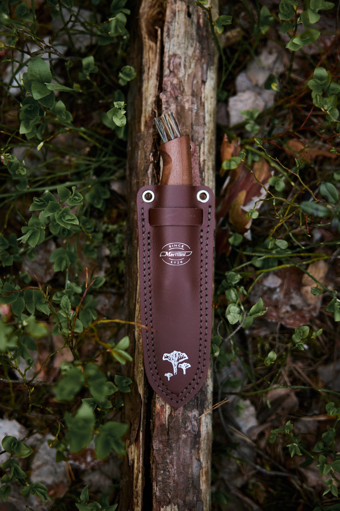 Marttiini Mushroom knife Kerääjä  03