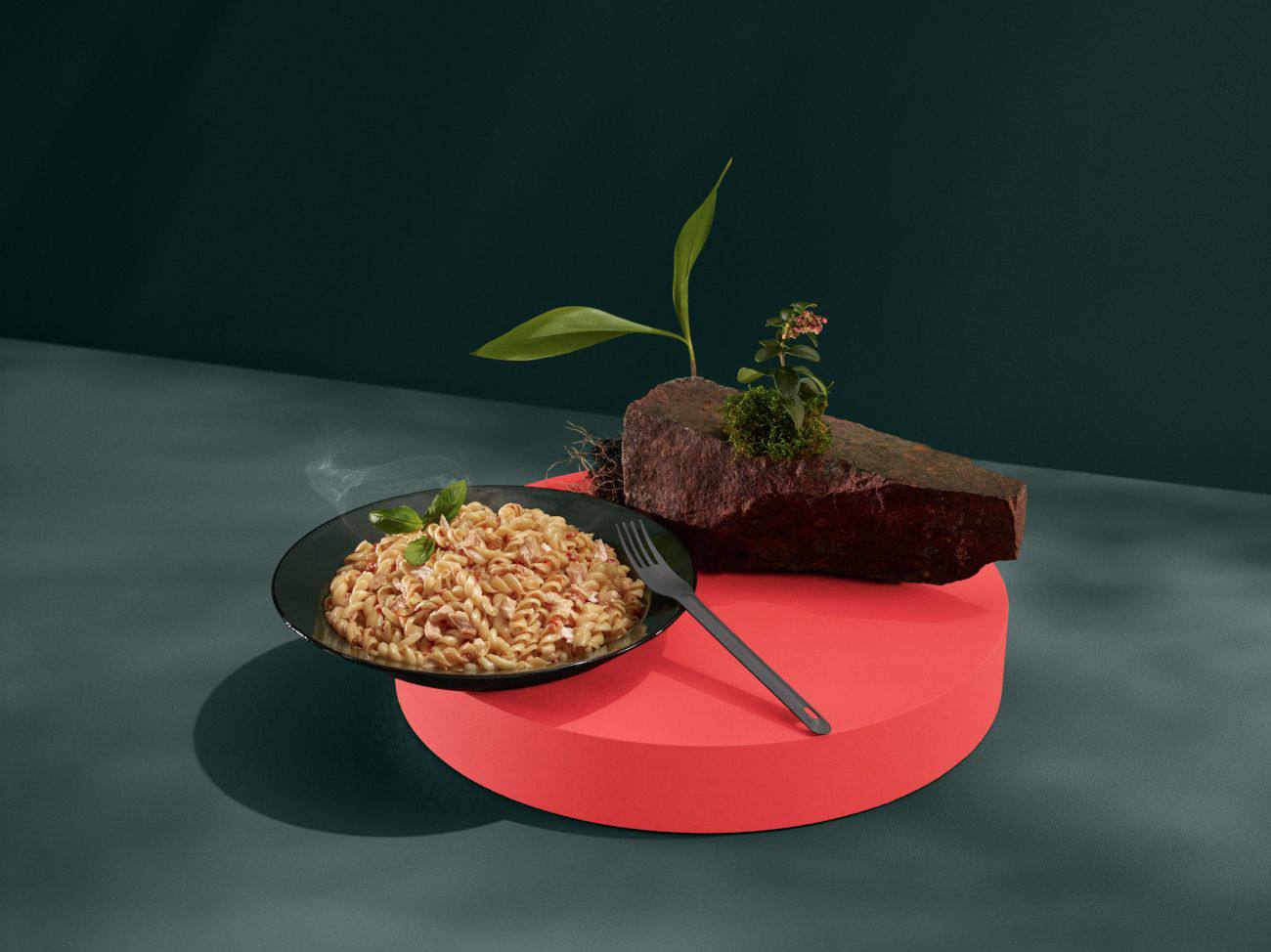 Leader Chicken Pasta  02