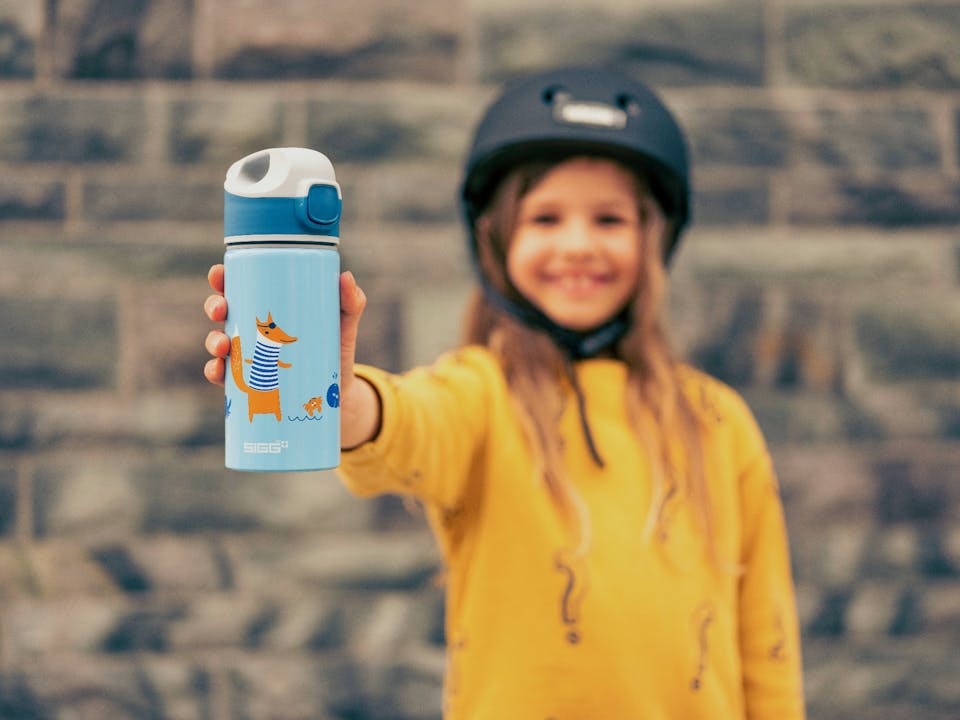 Sigg 0.4 Miracle Kids WMB Fox 05
