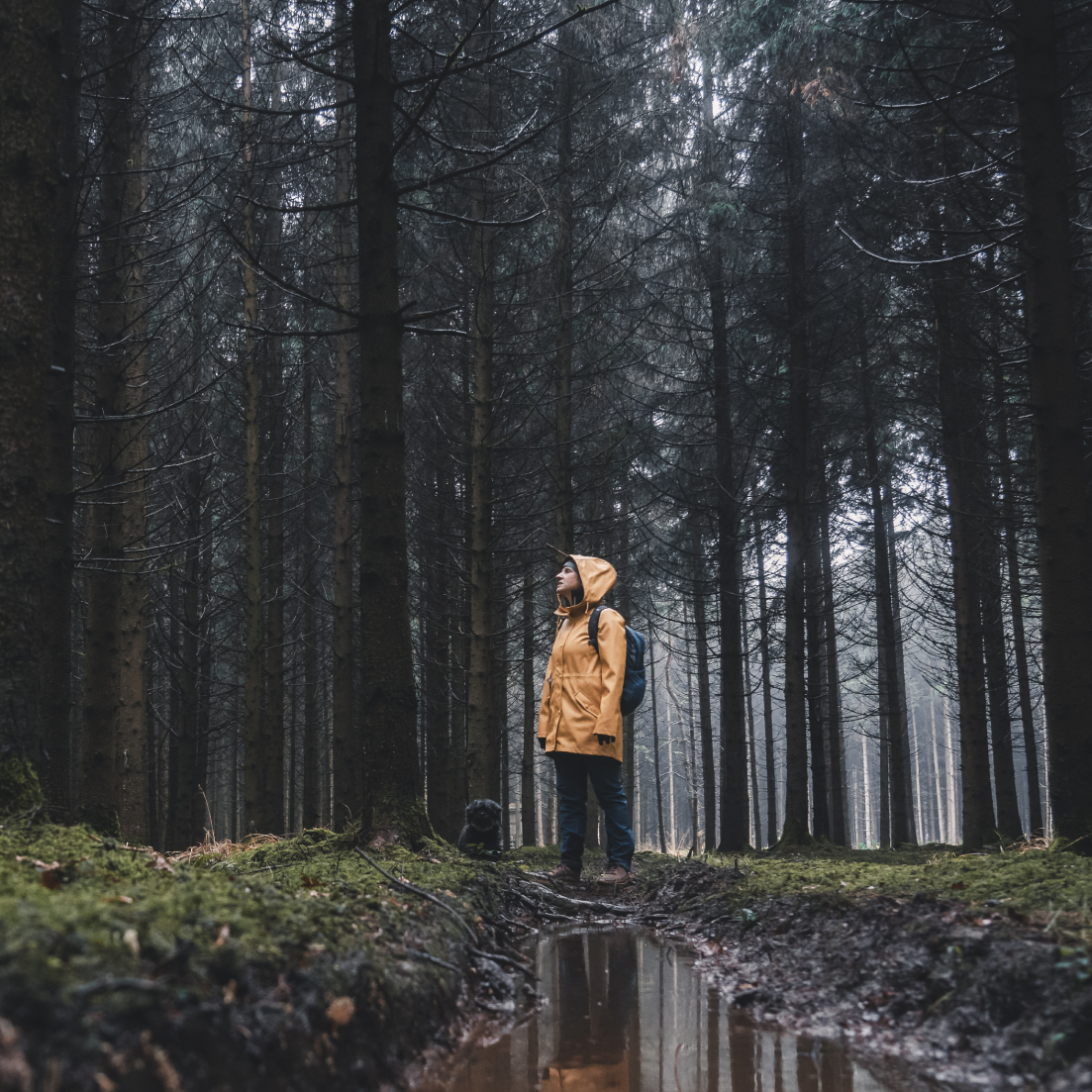 Vivobarefoot Women's Tracker Leather Low Bracken 08