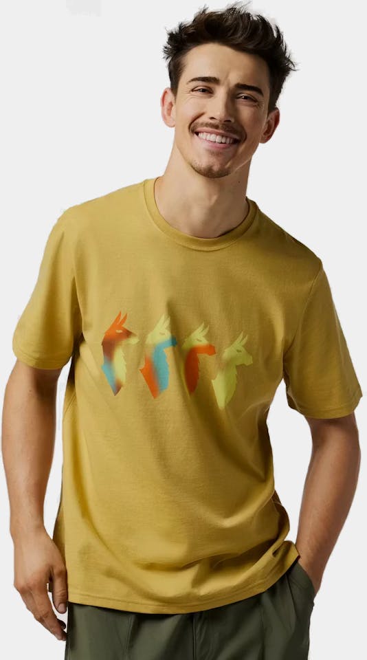 Cotopaxi Men's Cuatro Bitmap Tee Husk 01