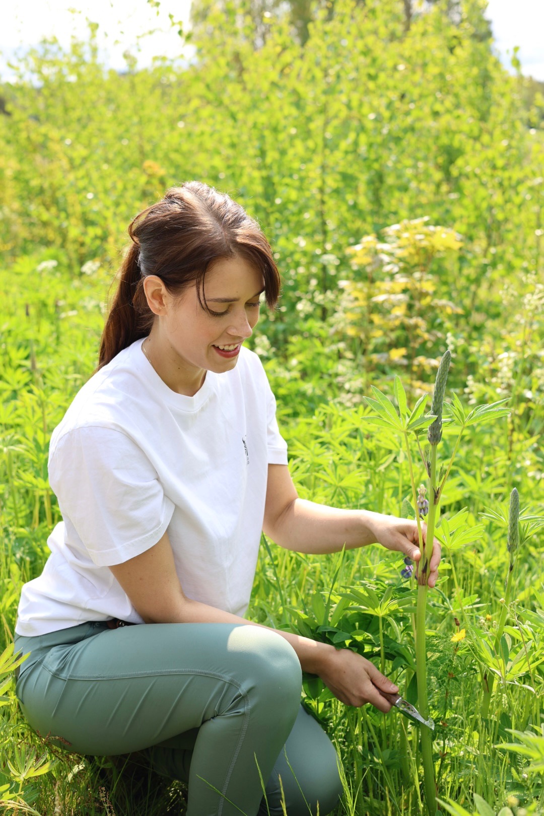 Marttiini Foraging Knife Kerääjä  13