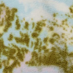 Columbia Women's Sequoia Grove Print Half Zip Fleece Citrus 07