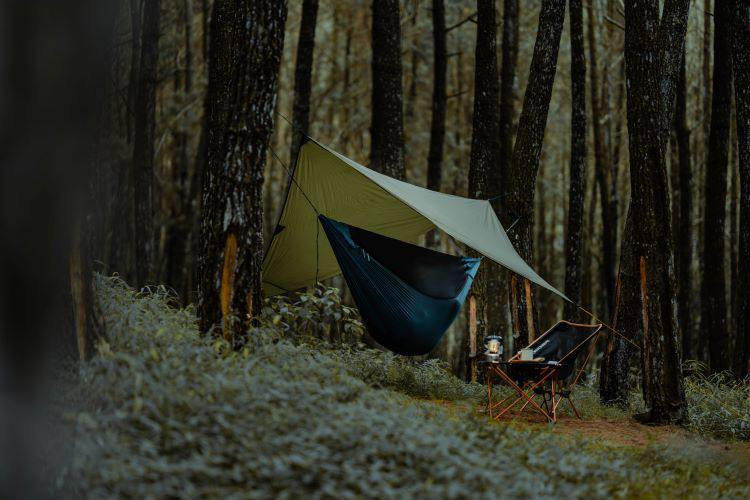 Ticket To The Moon Lightest Pro Hammock Recy Forest 02