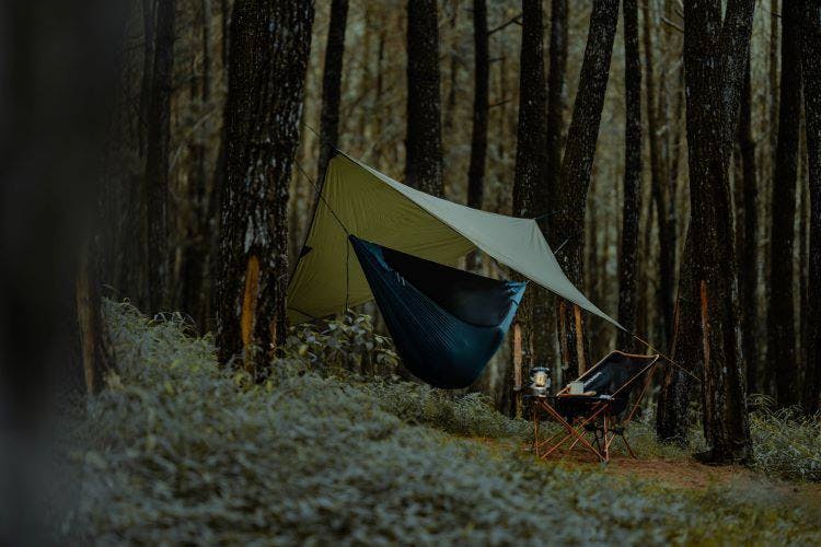 Ticket To The Moon Lightest Pro Hammock Recy Forest 02