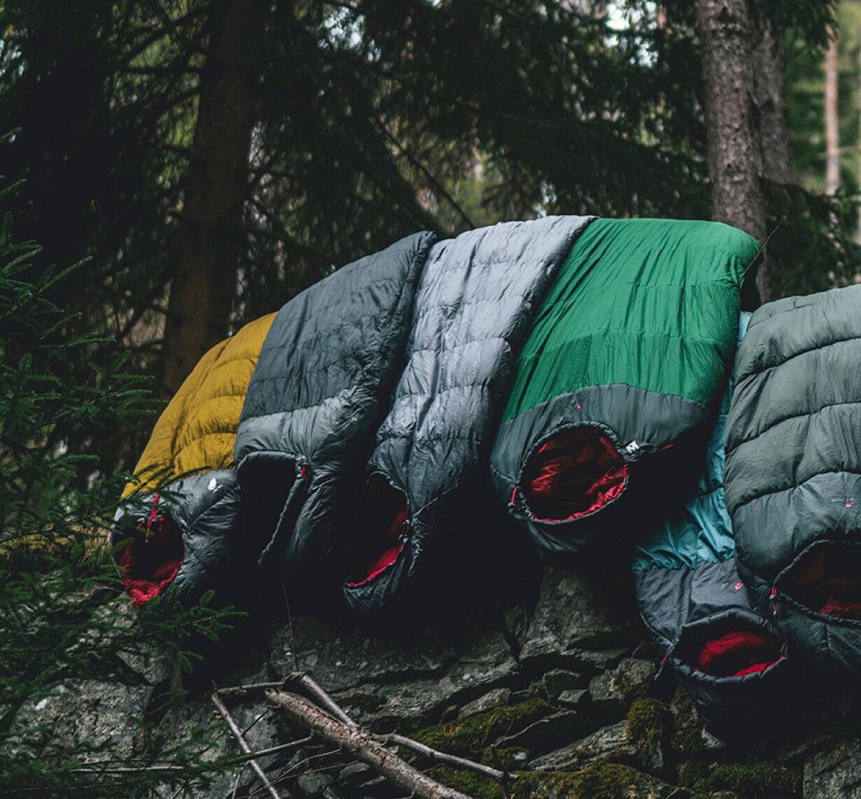 Robens Serac 300 (-4°C)  04