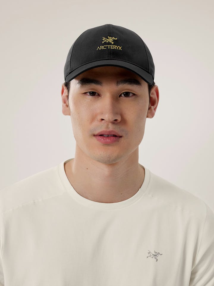 Arc'teryx Bird Word Cap 24K Black 05