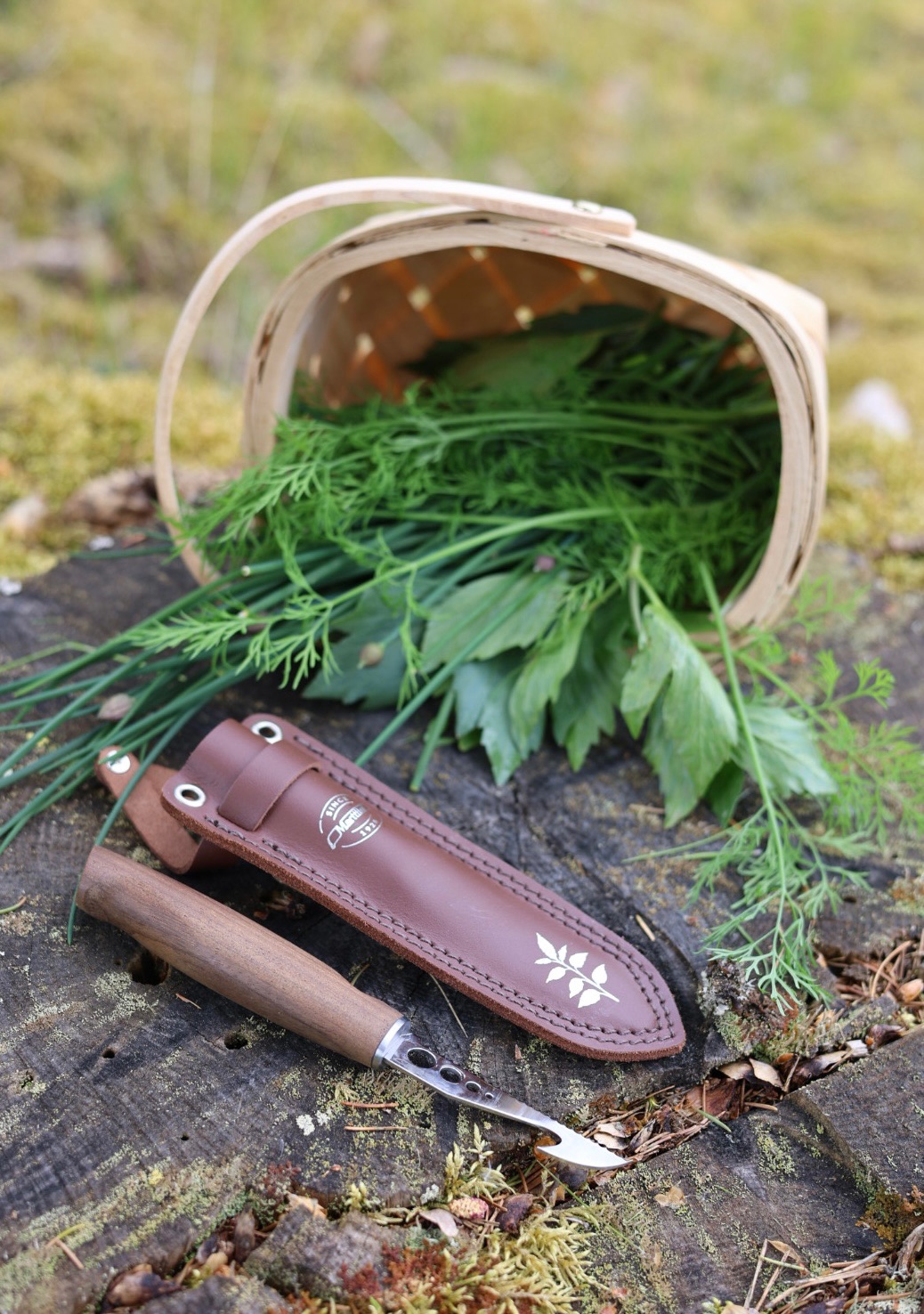Marttiini Foraging Knife Kerääjä  15