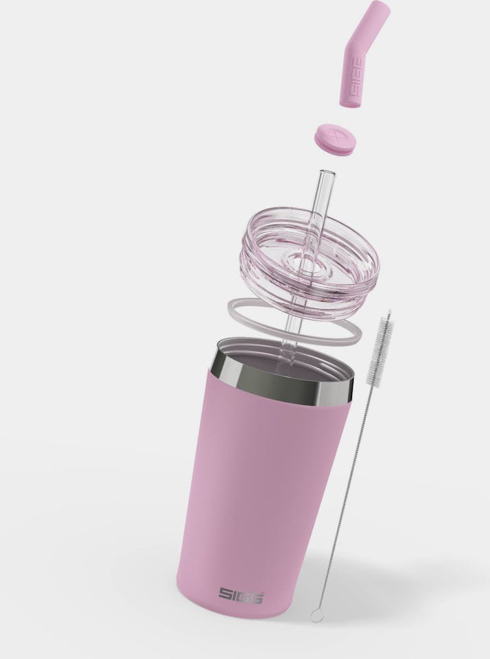Sigg Helia 0.45L Lingonberry  04