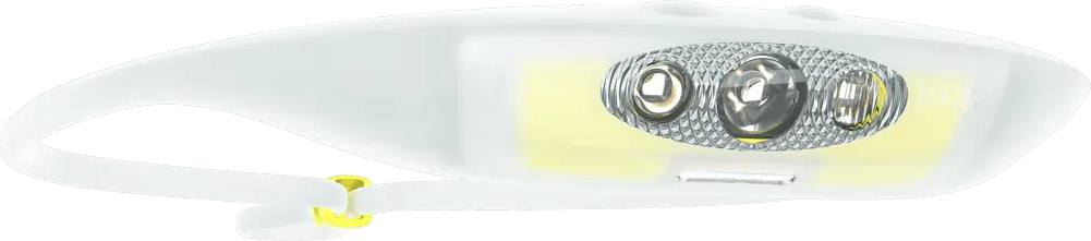 Knog Bandicoot 250 Run