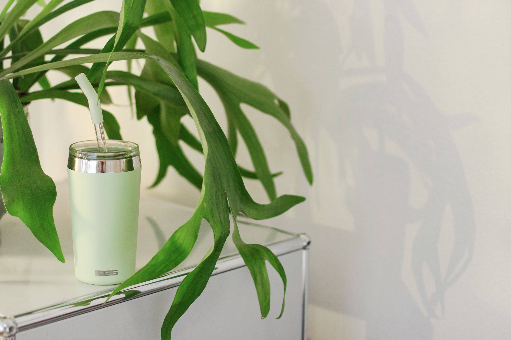 Sigg Helia 0.45L Milky Green  07