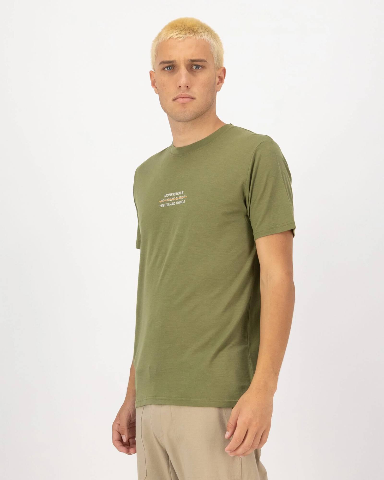 Mons Royale Icon tee Fern 04