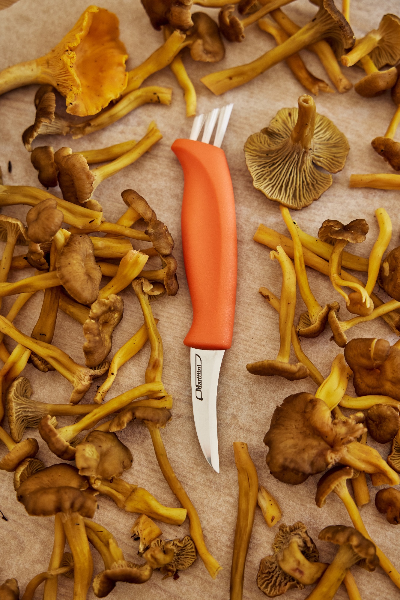 Marttiini Mushroom Knife Ruska  06