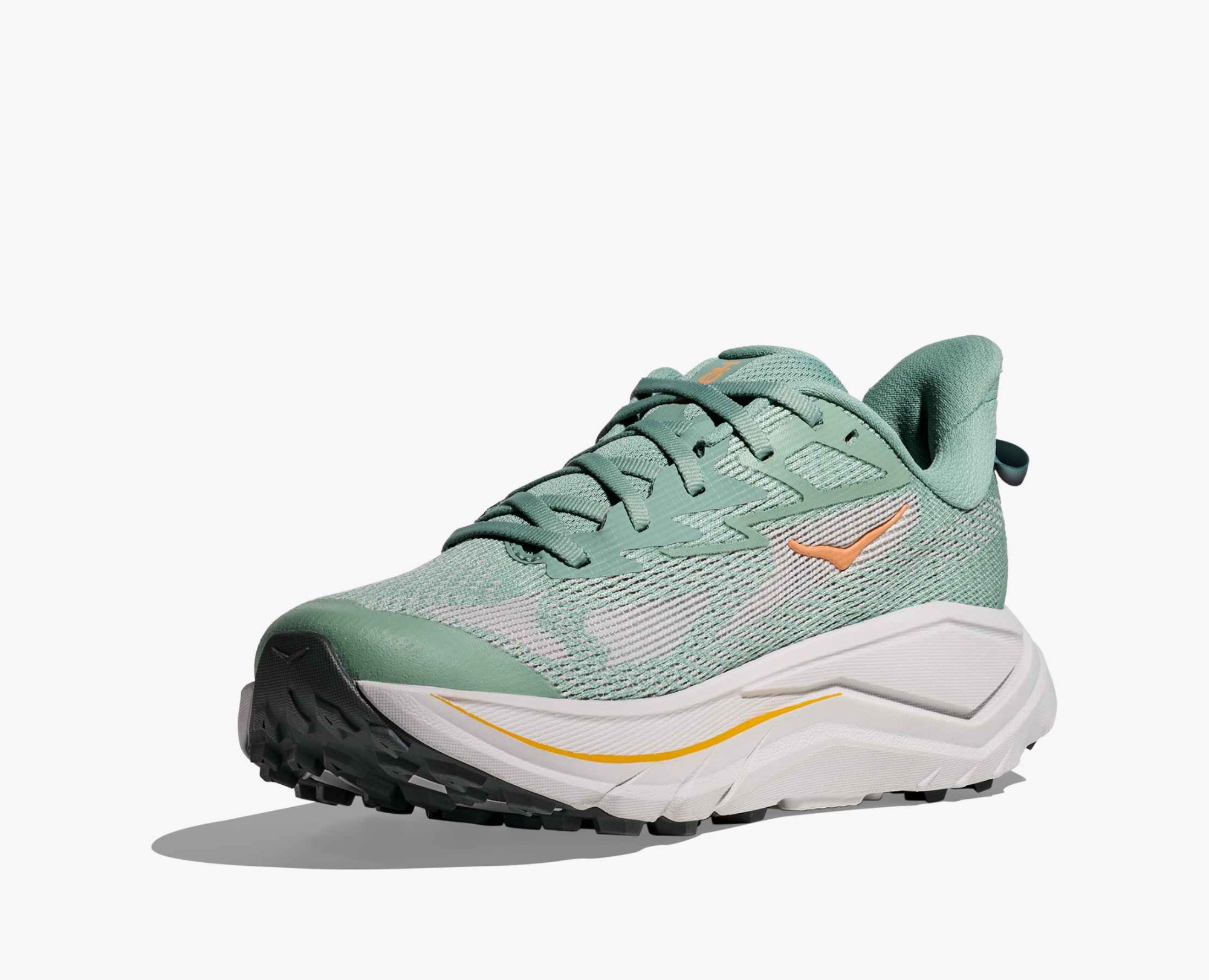 Hoka Women's Challenger 8 Jade / Cosmic grey 04