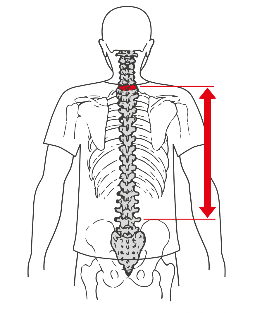 Ortovox Avabag Litric Freeride 28 Tummanvihreä 03