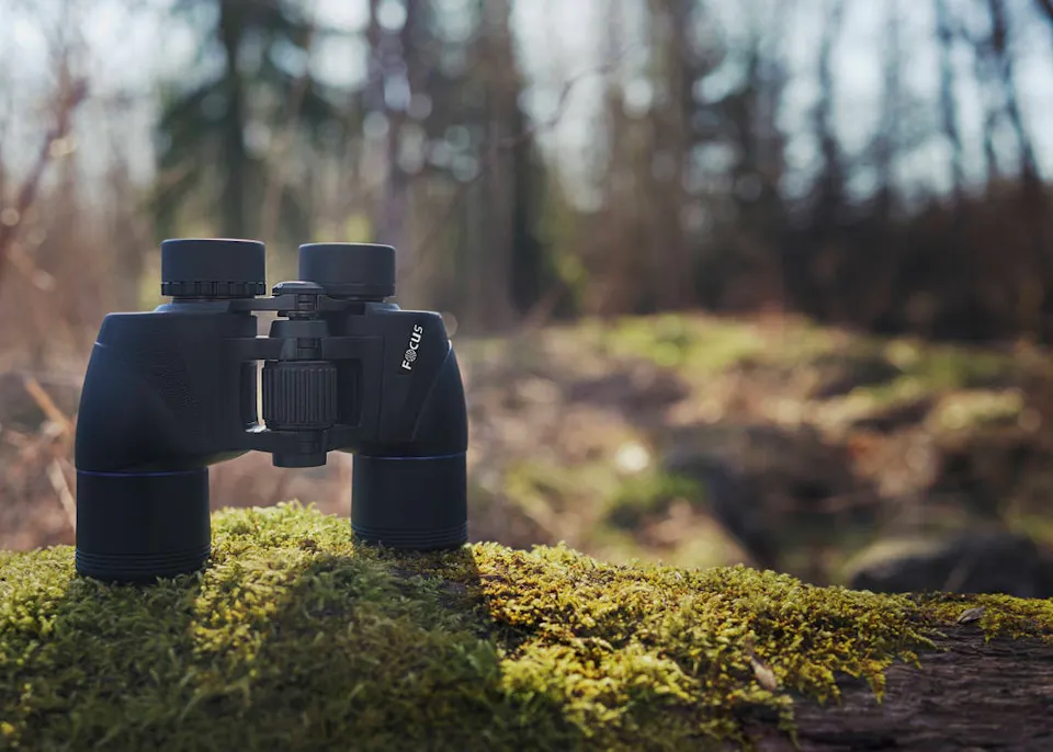 Focus Scenery 8x40 07