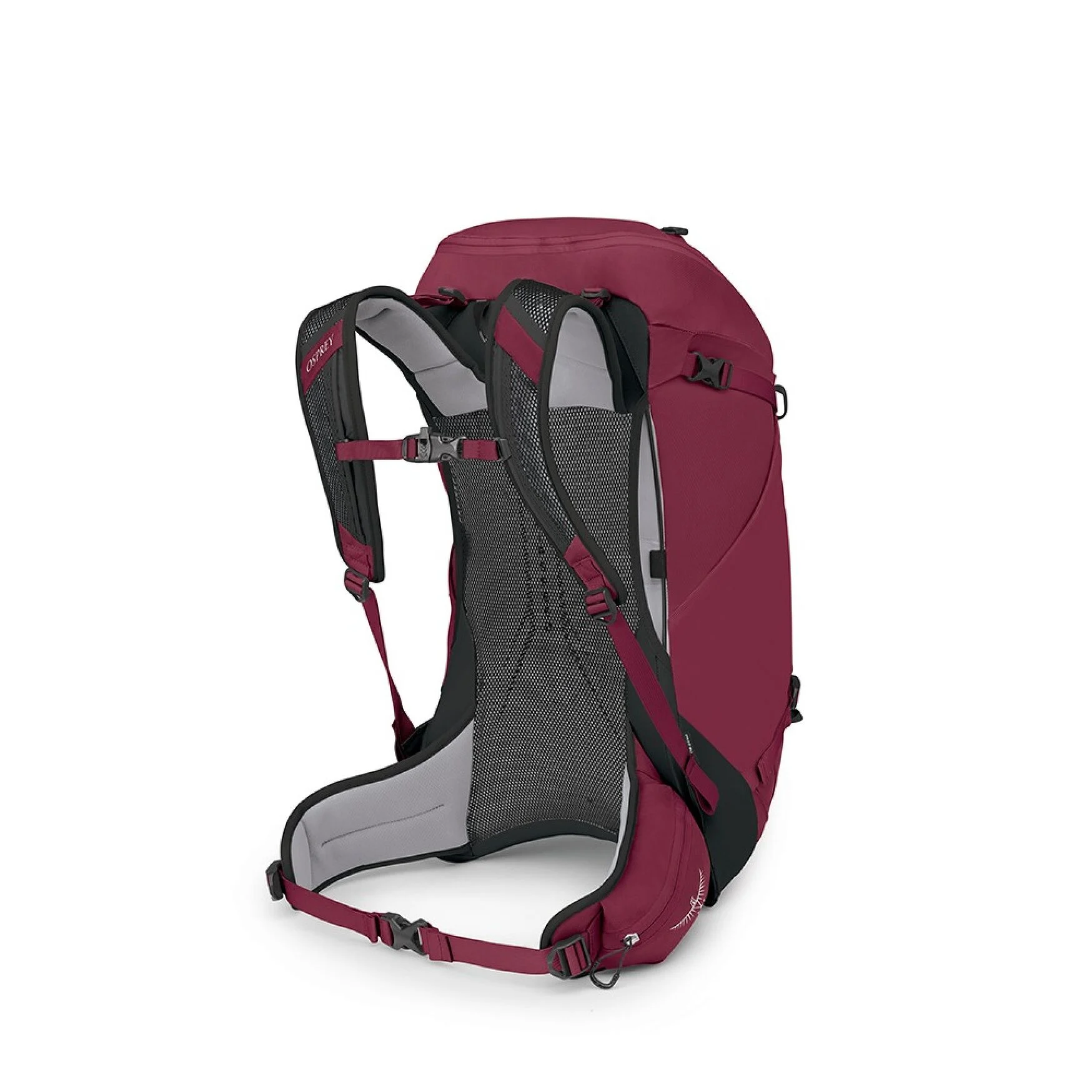 Osprey Hikelite 32 Chameleon 03