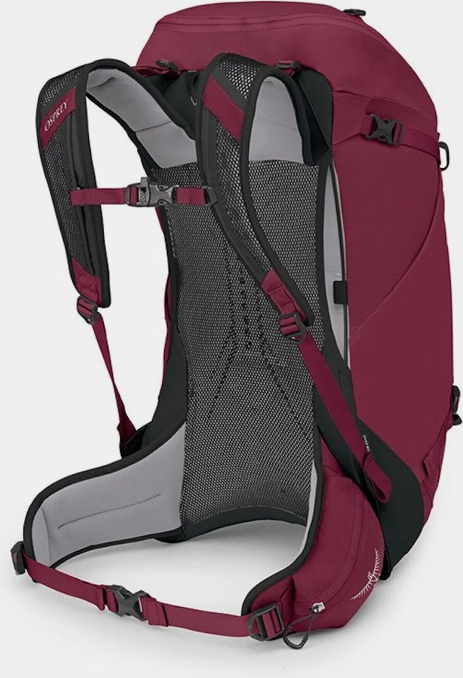 Osprey Hikelite 32 Chameleon 03