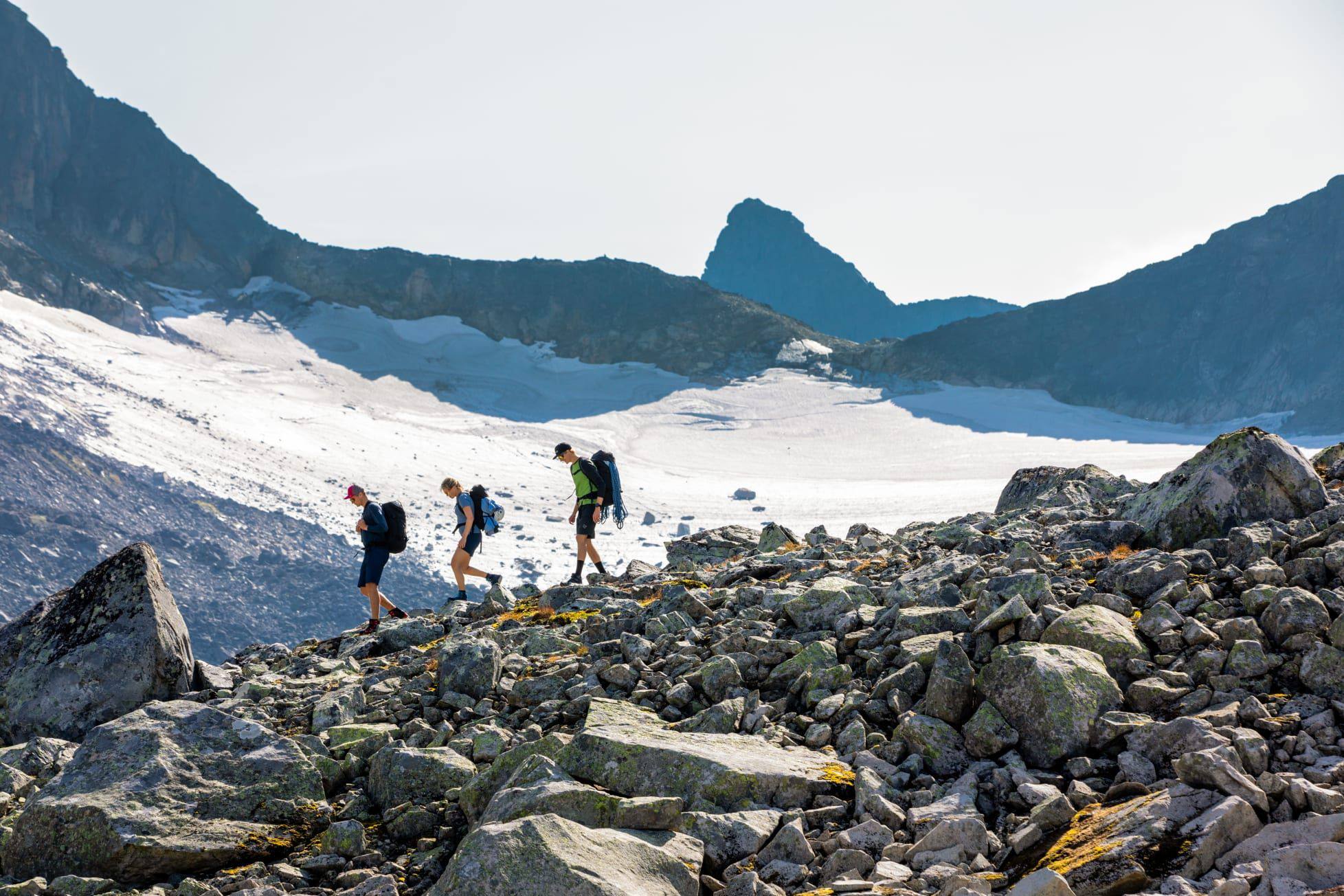 Norrøna Men's Falketind Flex¹ Shorts Caviar 06