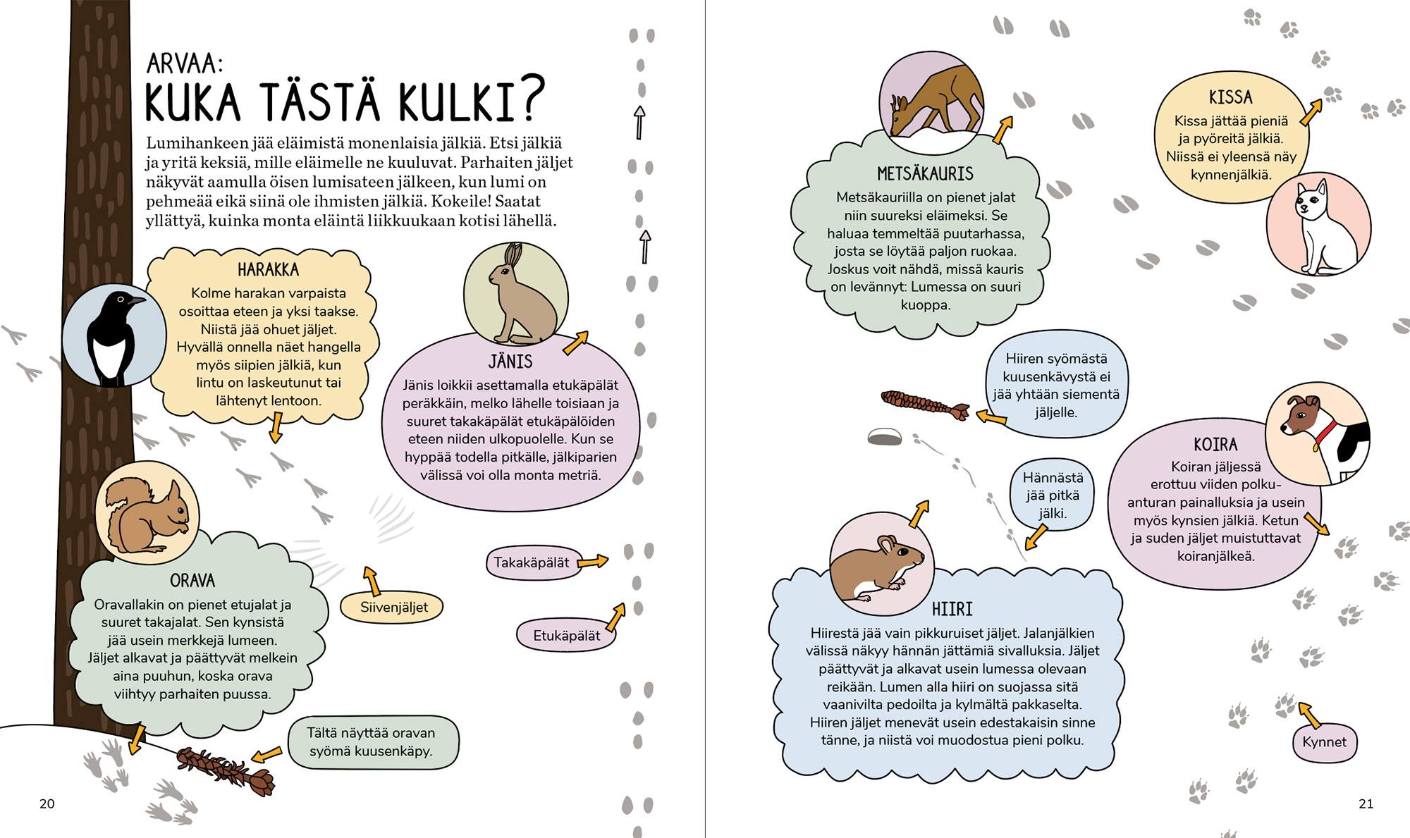 Calazo Villin Luonnon Puuhakirja  04