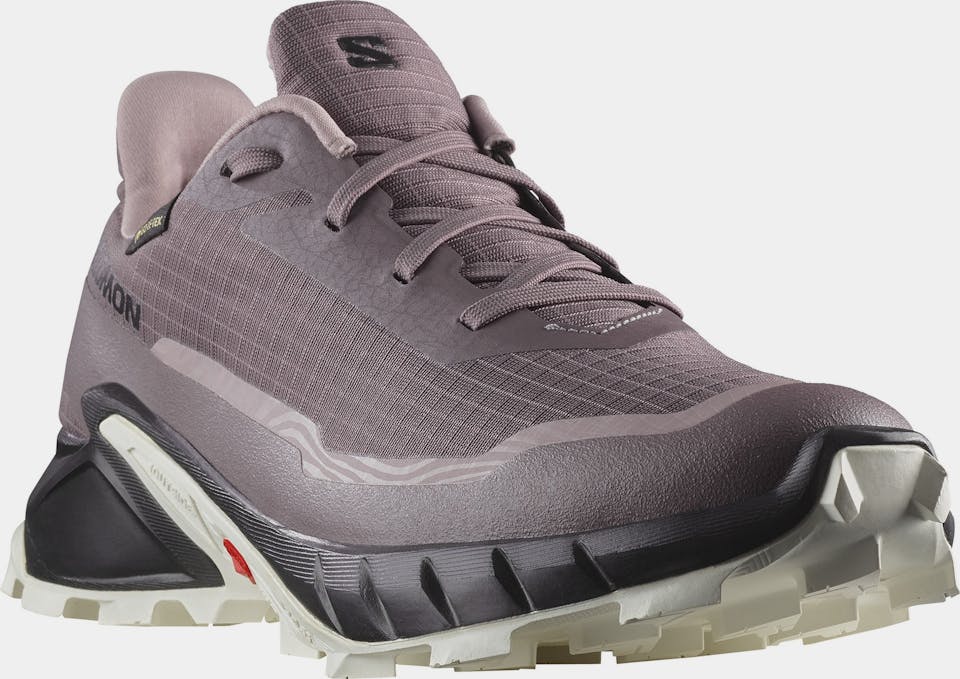 Salomon Women's Alphacross 5 GTX Moonscape/Black/White 04