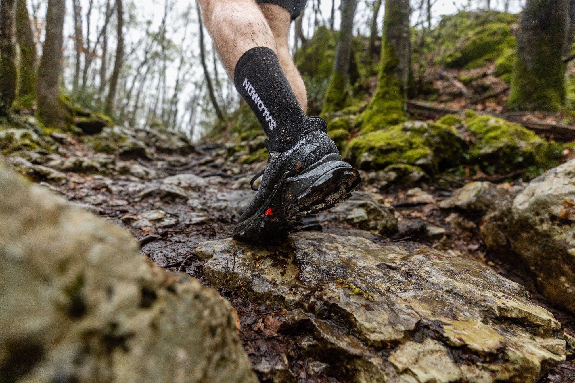 Salomon Men's Alphacross 5 GTX Musta 10