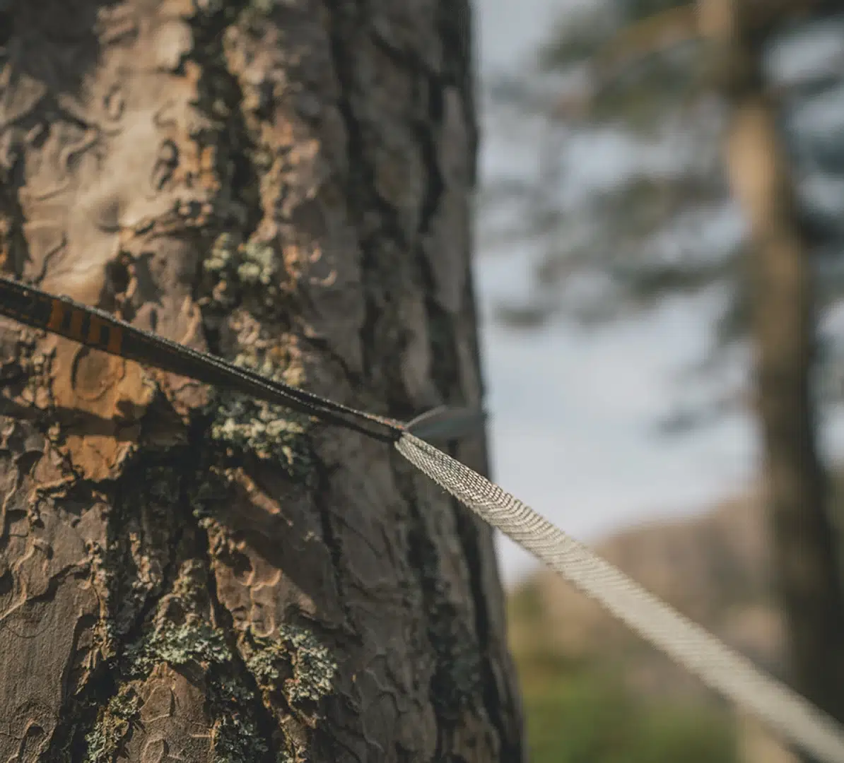 Robens Trace Hammock UL  05