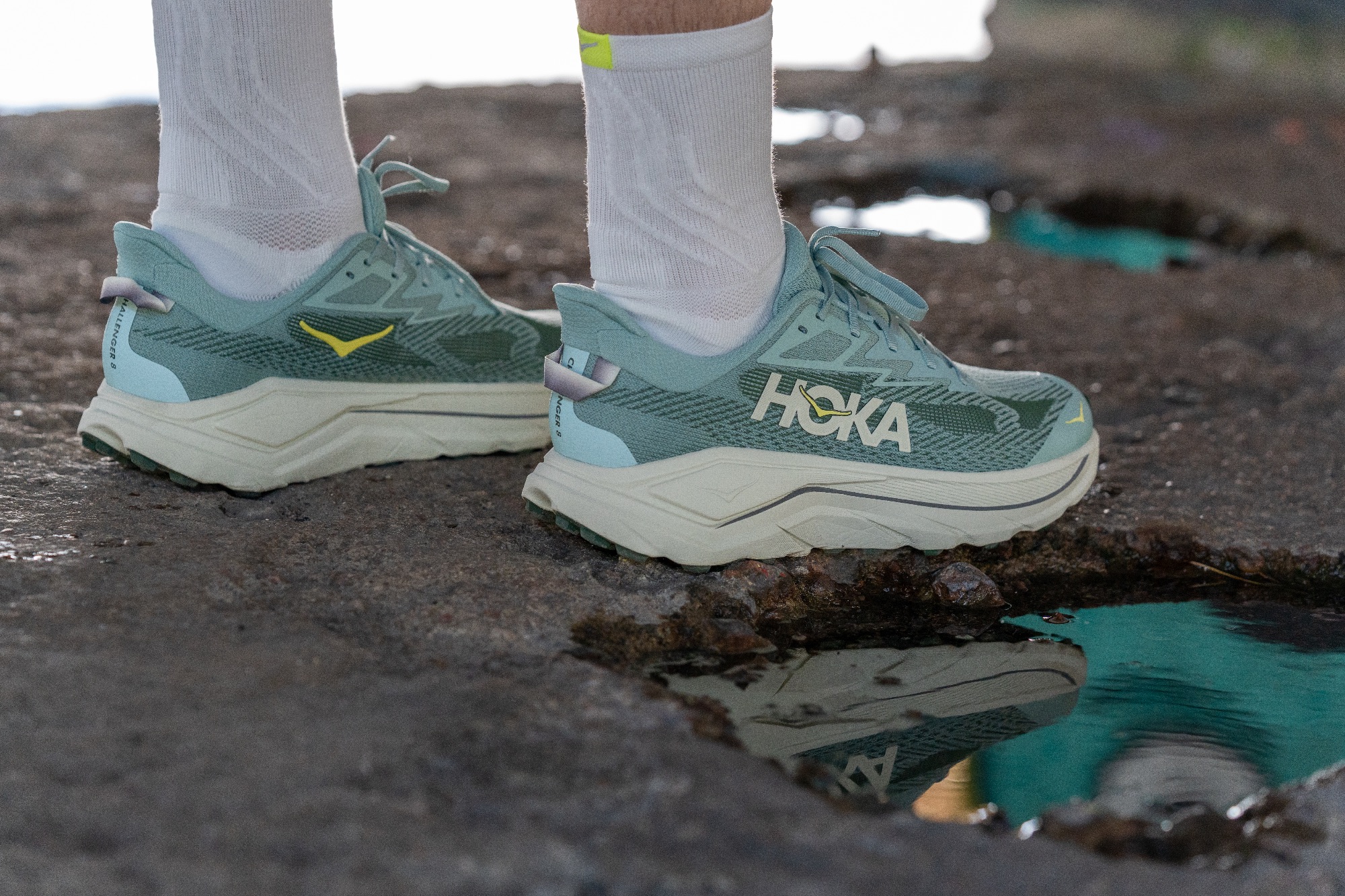 Hoka Men's Challenger 8 Jade / Truffle Salt 16
