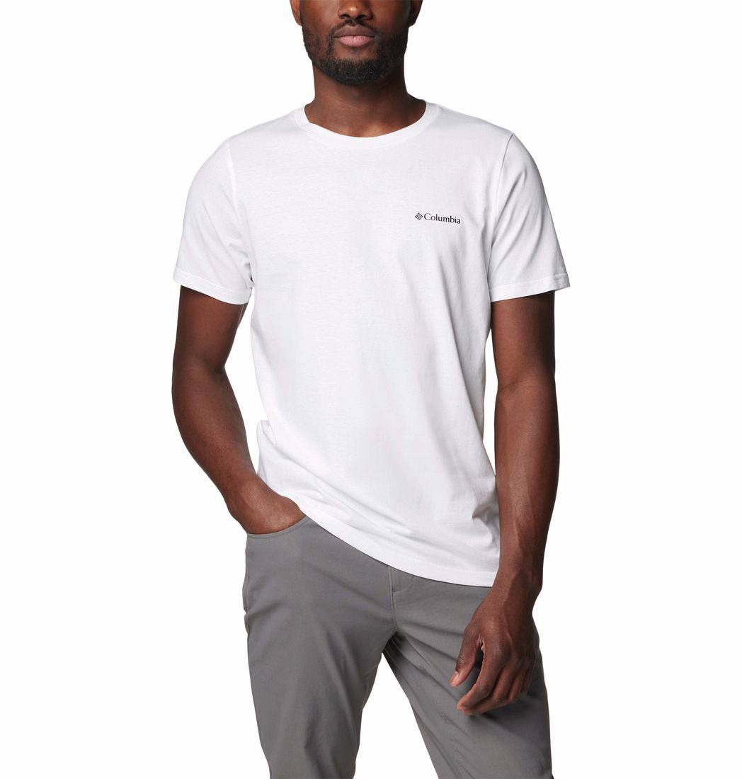 Columbia Men's Rapid Ridge II Back Graphic Tee Valkoinen 05