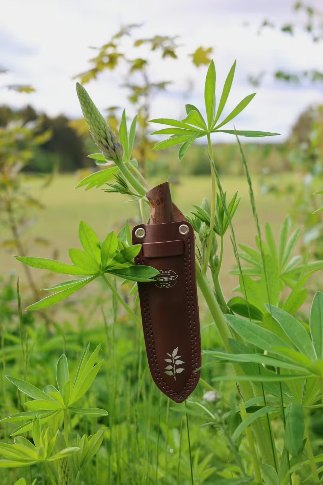 Marttiini Foraging Knife Kerääjä  20