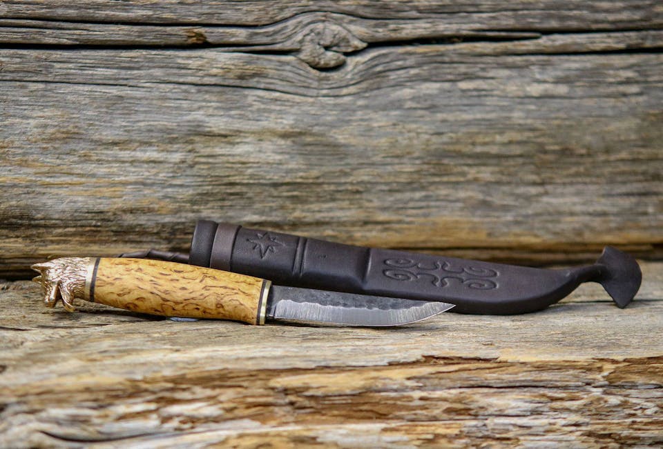 Eräpuu Pystykorvanpääpuukko 95  01
