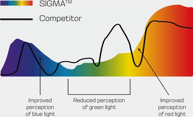 Salomon Radium Pro Sigma Black 25/26 +1 Lens 08