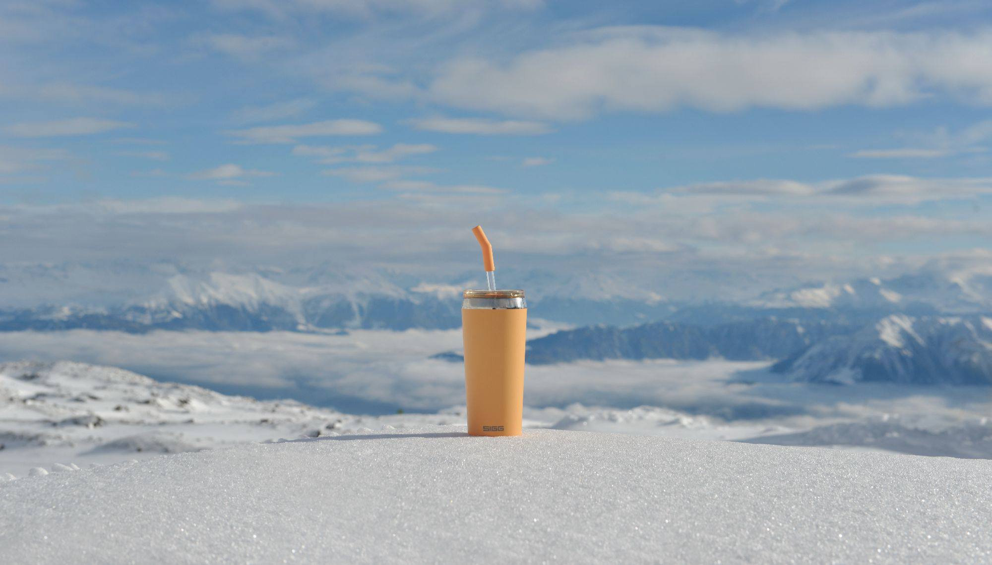 Sigg Helia 0.6L Muted Peach  06