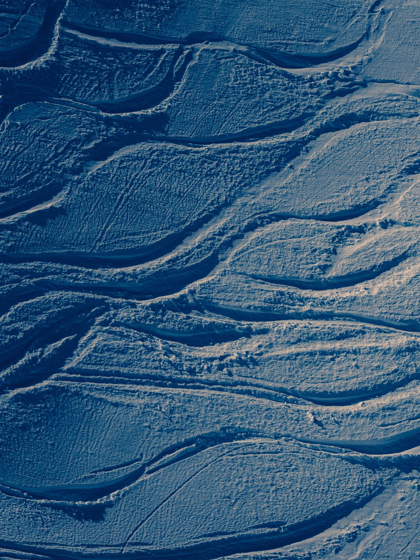 Völkl Revolt 81 25/26  07