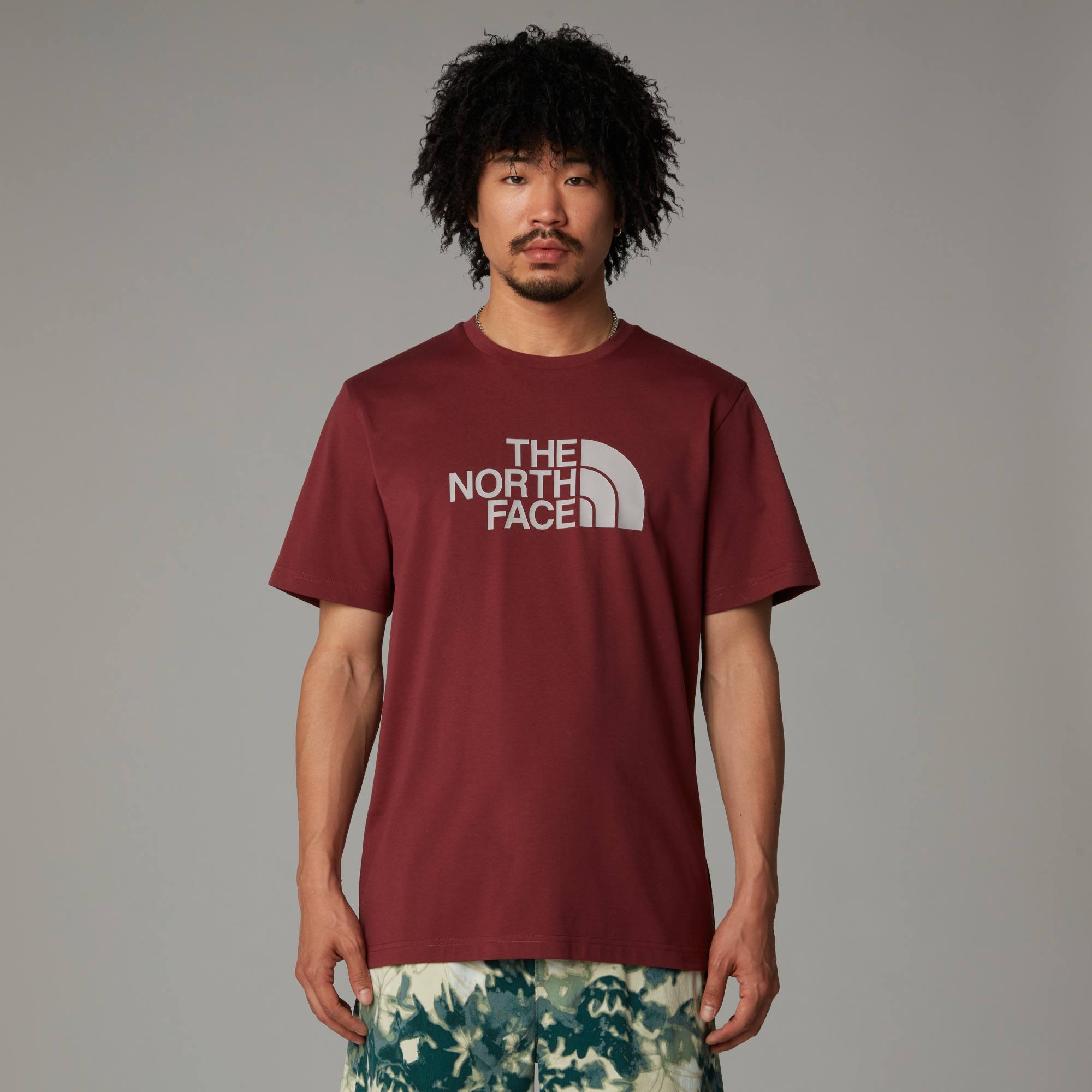 The North Face Men's Easy Tee Sumac 05
