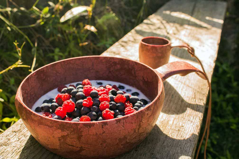 Kupilka Bowl 55 Punainen 02