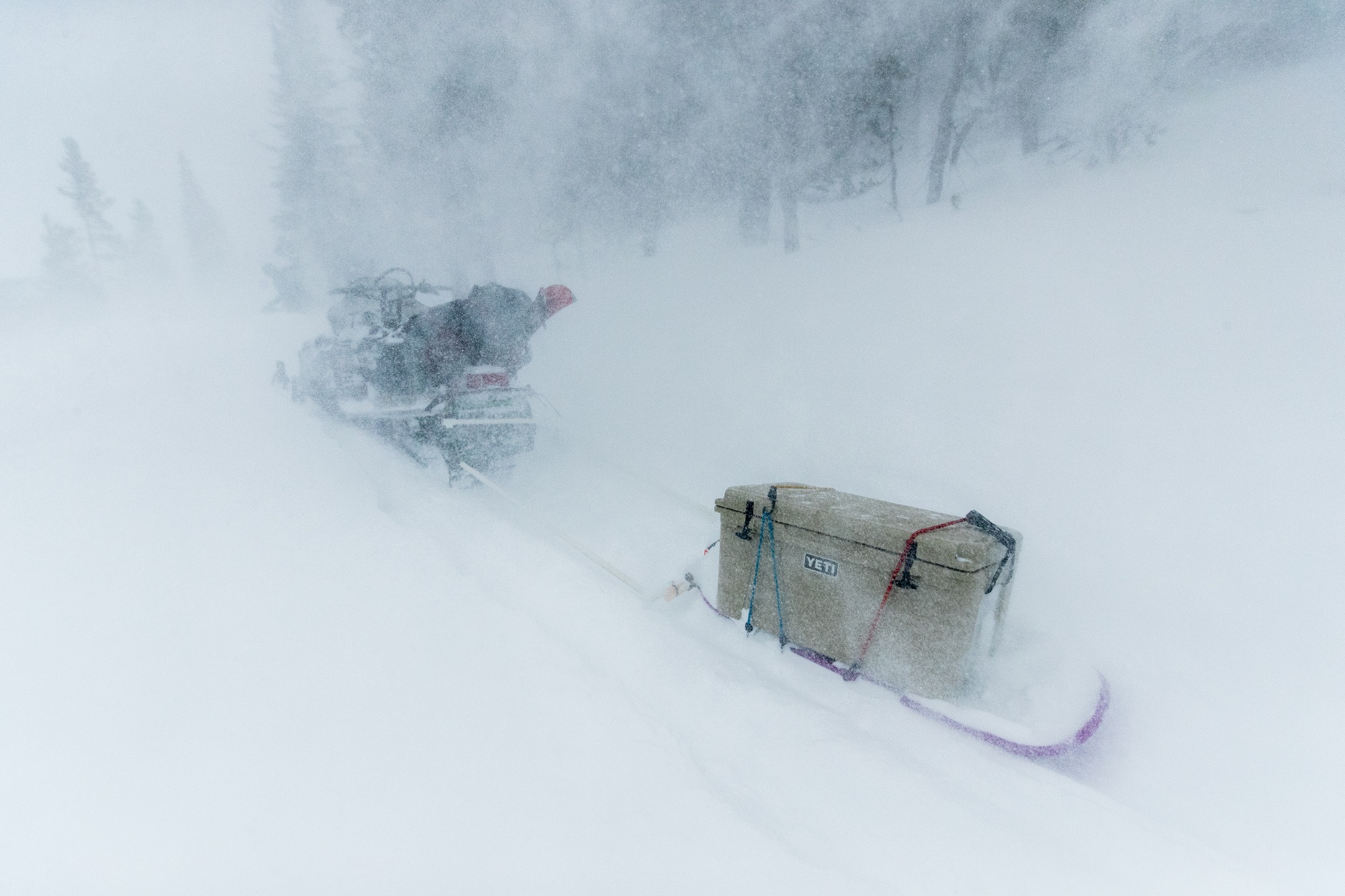 Yeti Tundra 65 Valkoinen 06