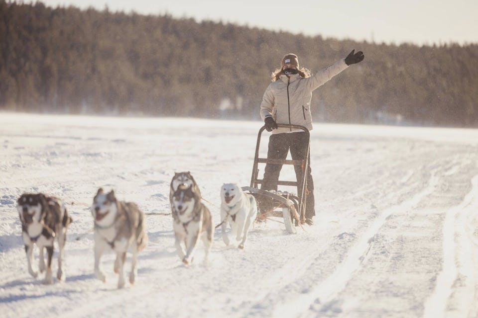 Halti Women's Trusty Dx Ski Pant Black 01