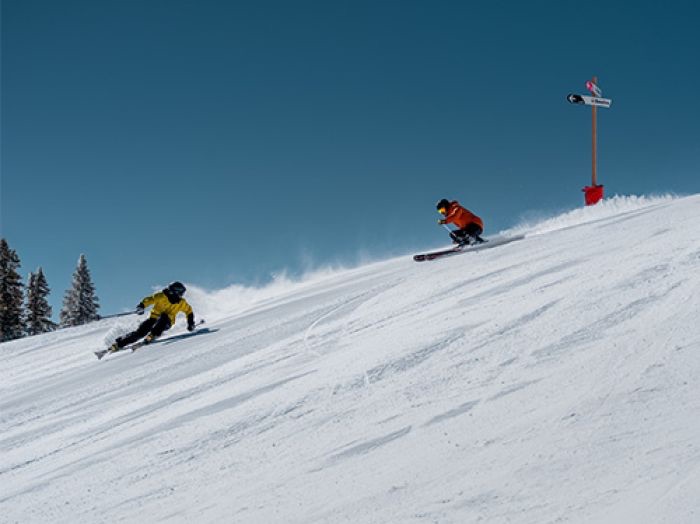 Elan Wingman 83 Ti + Elx 11 25/26  08