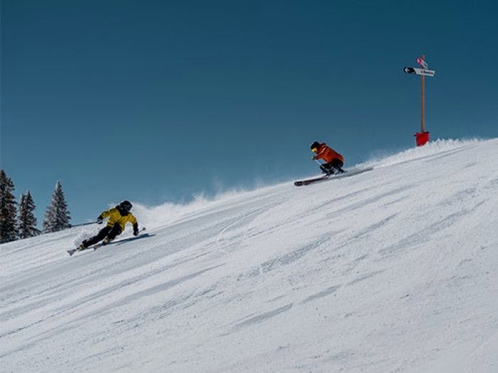 Elan Wingman 83 Ti + Elx 11 25/26 08