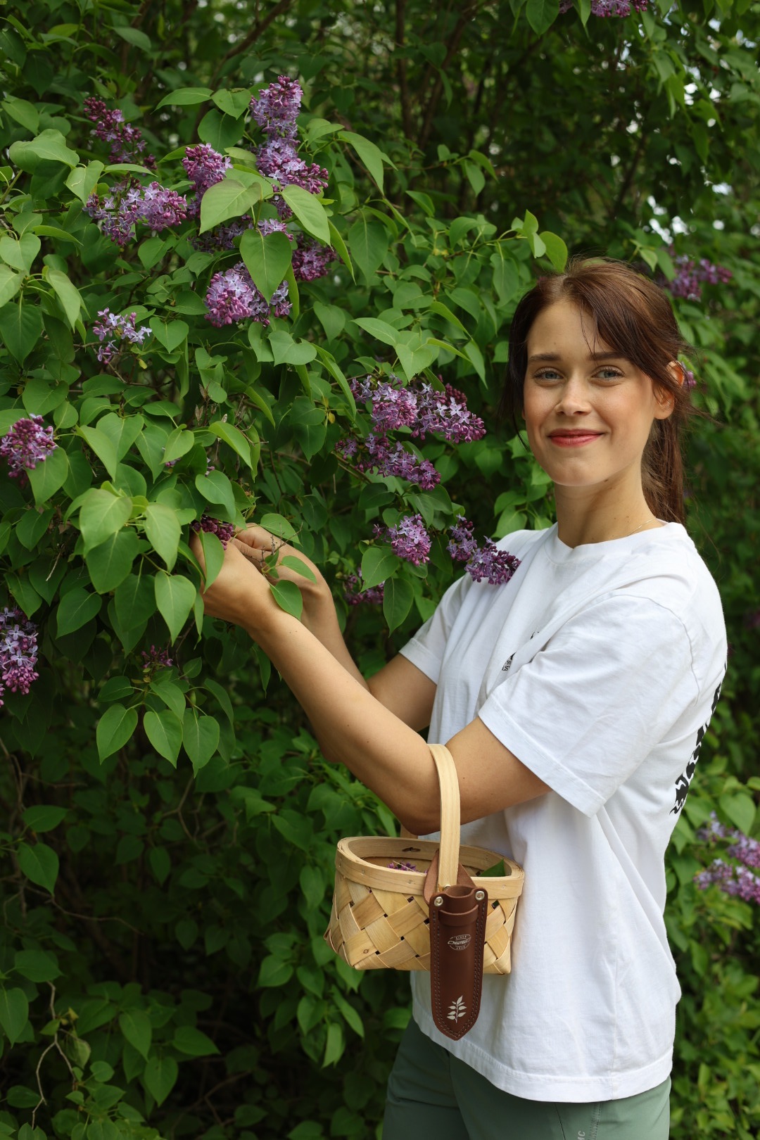 Marttiini Yrttiveitsi Kerääjä  16