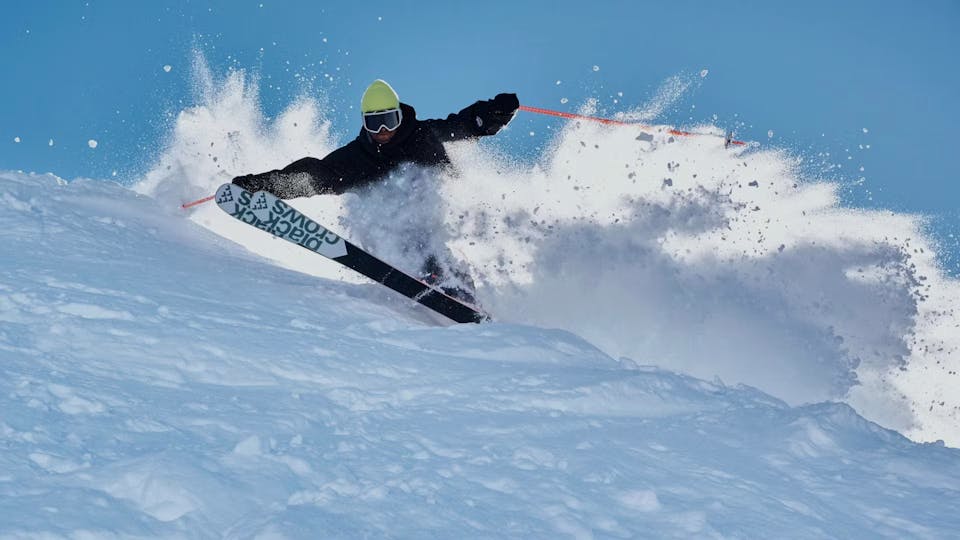 Black Crows Sato 25/26 03