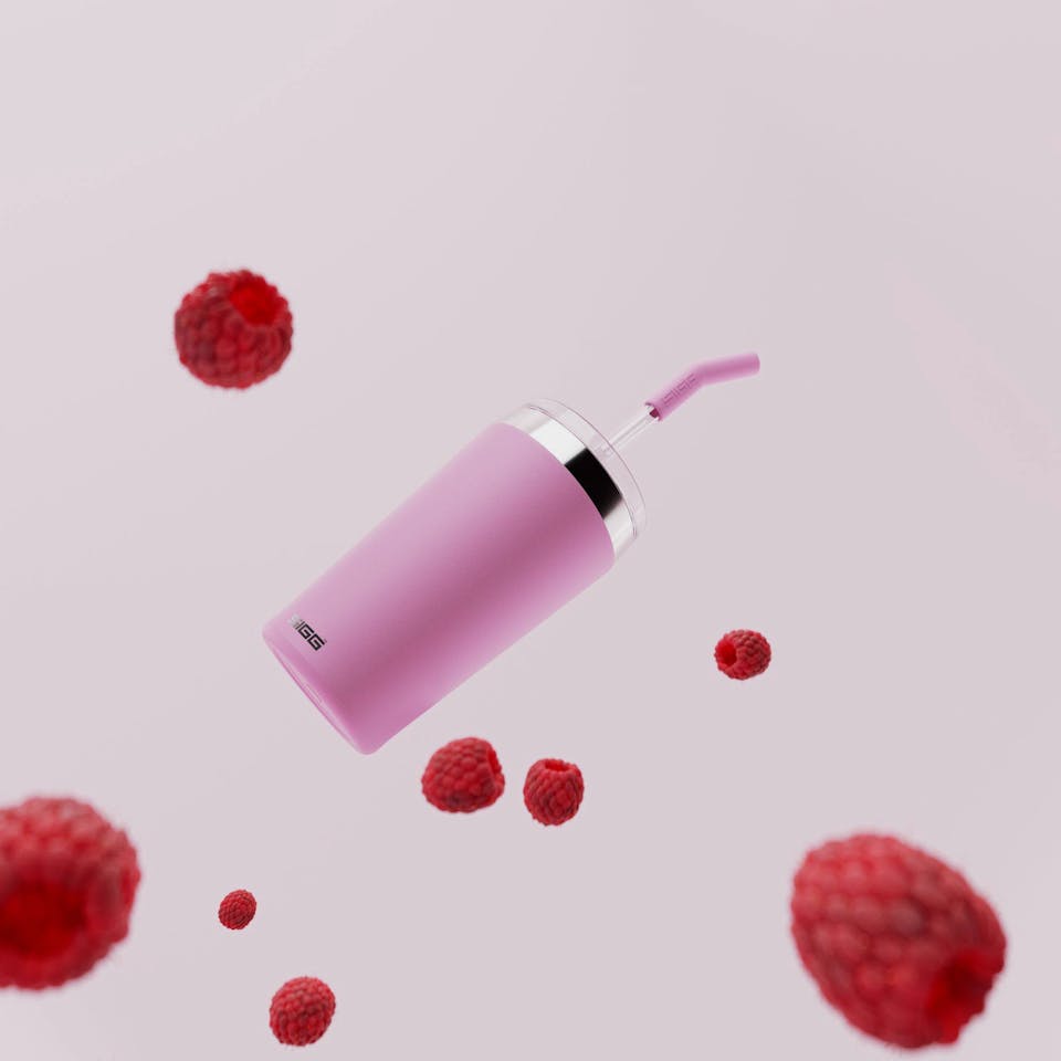 Sigg Helia 0.45L Lingonberry  02
