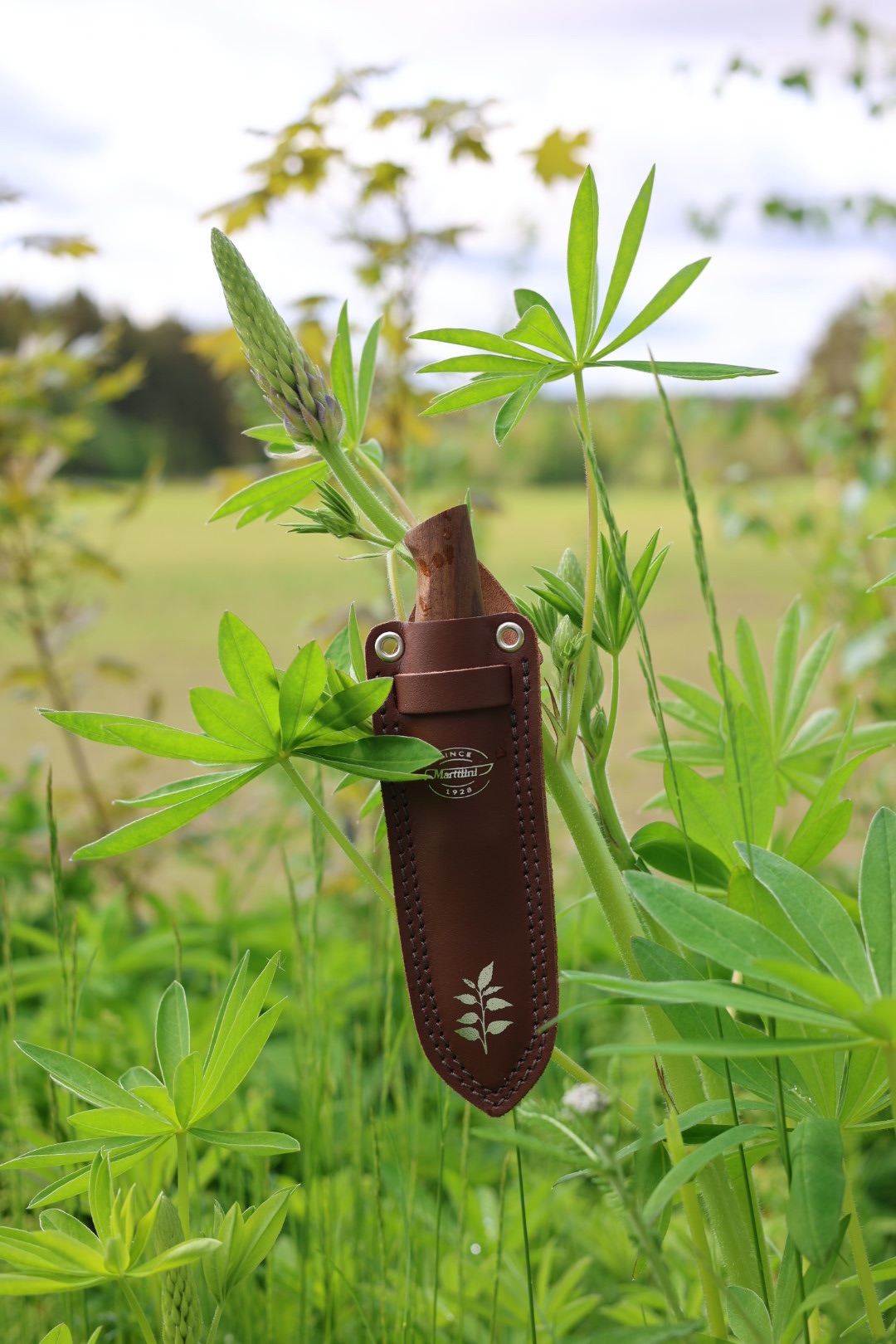 Marttiini Yrttiveitsi Kerääjä  15