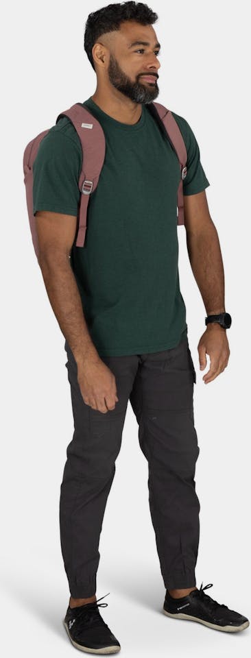 Osprey Arcane Large Day Purple Garnet Heather 03