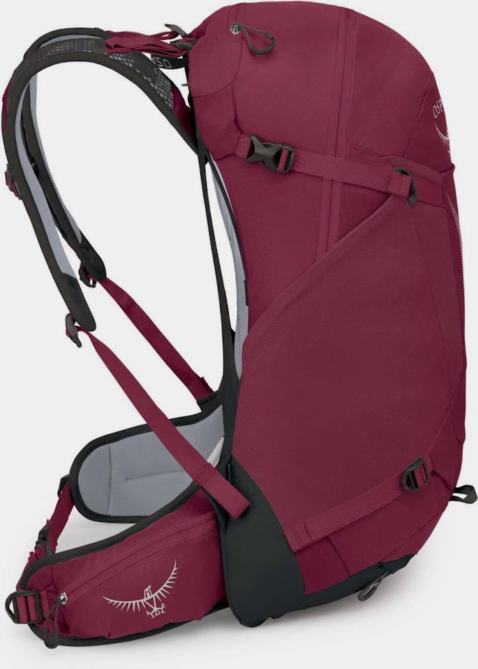 Osprey Hikelite 28 Chameleon Black 03