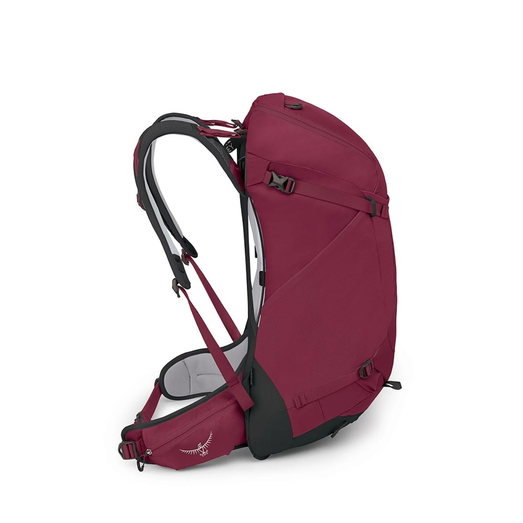 Osprey Hikelite 32 Chameleon 02