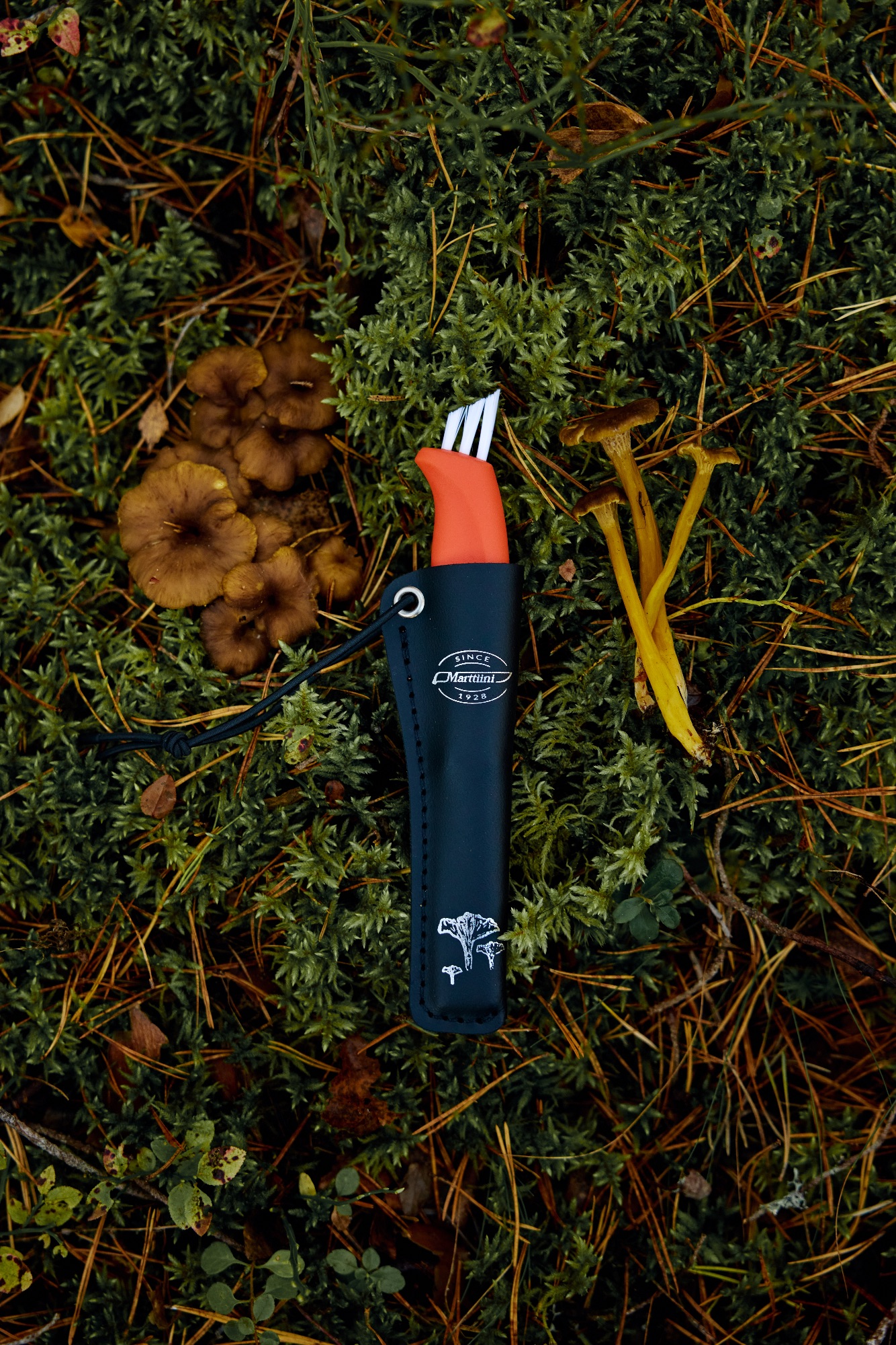 Marttiini Mushroom Knife Ruska  03