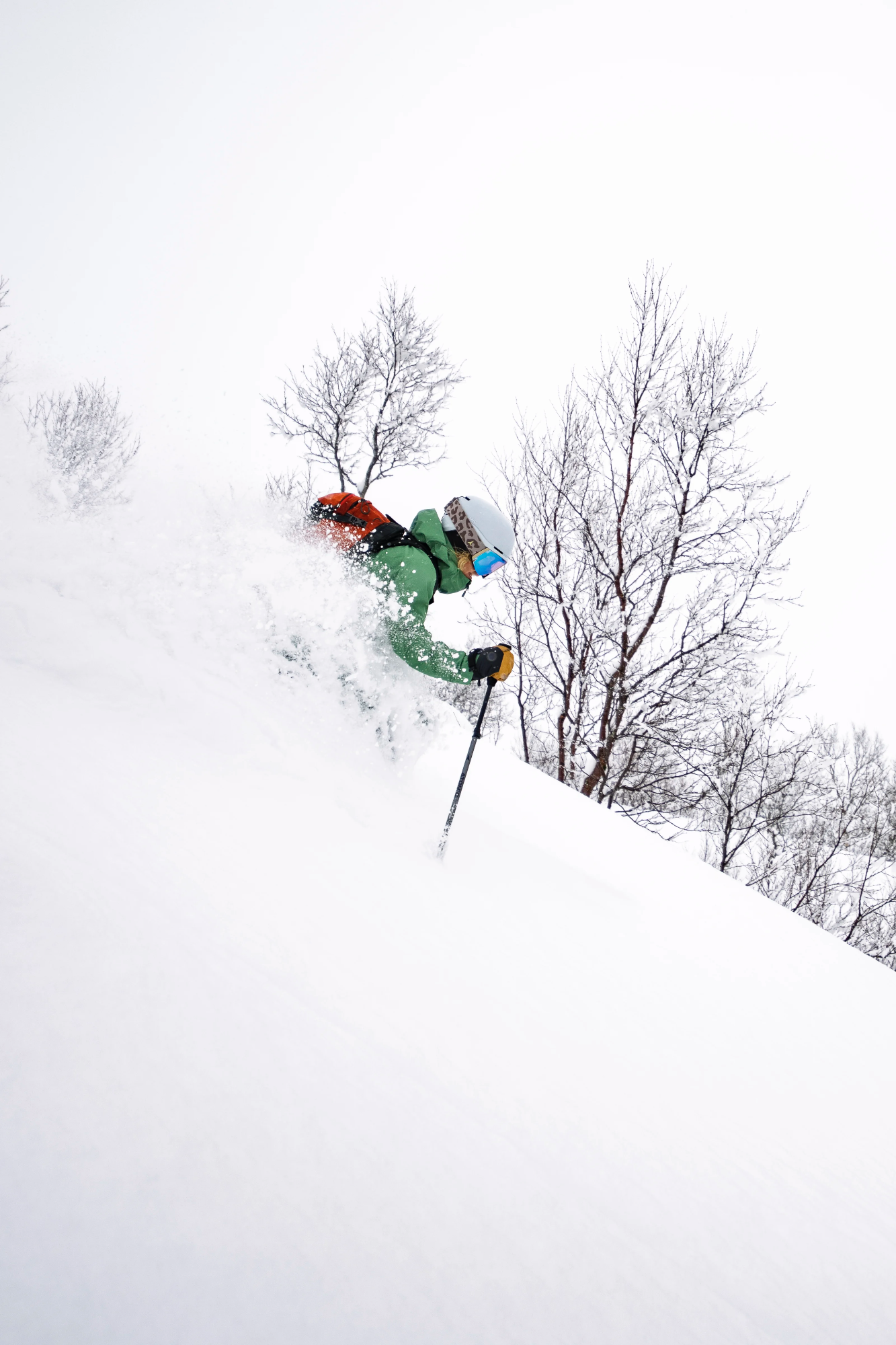 Norrøna Women's Lofoten GTX Pro Jacket Dark Ivy 10